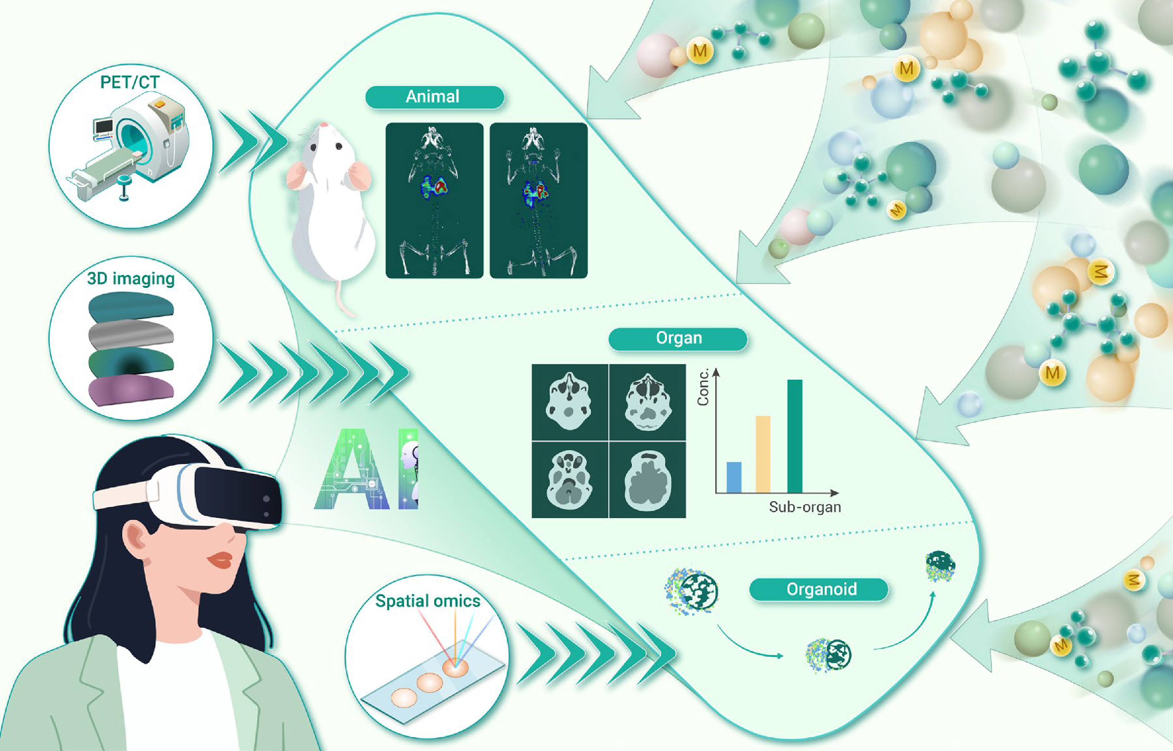 The Innovation | 微塑料时空分布与风险评估：可视化新认知